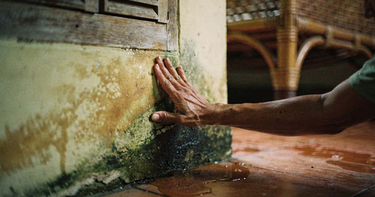 Bali Villa Mold & Flooding 2026: What to Do | Knowmads Bali