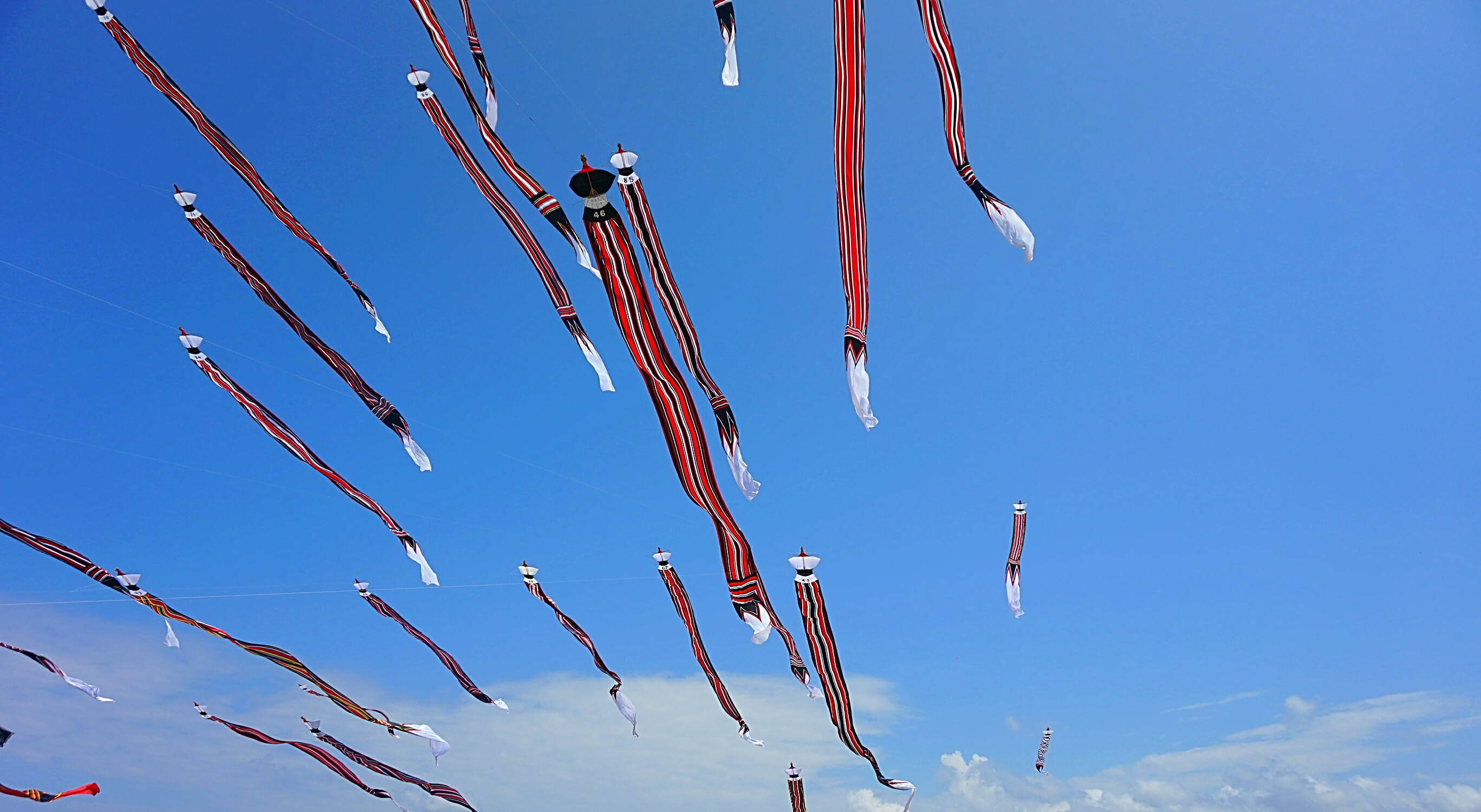 Bali Kite Festival