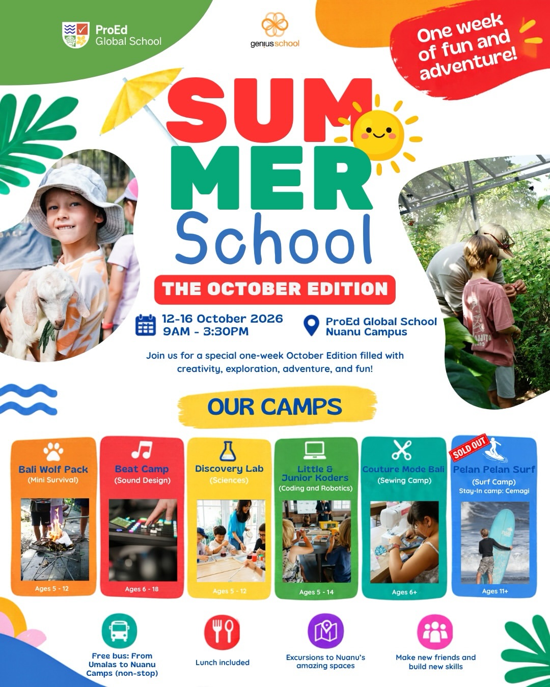 SUMMER SCHOOL IS BACK, OCTOBER EDITION
