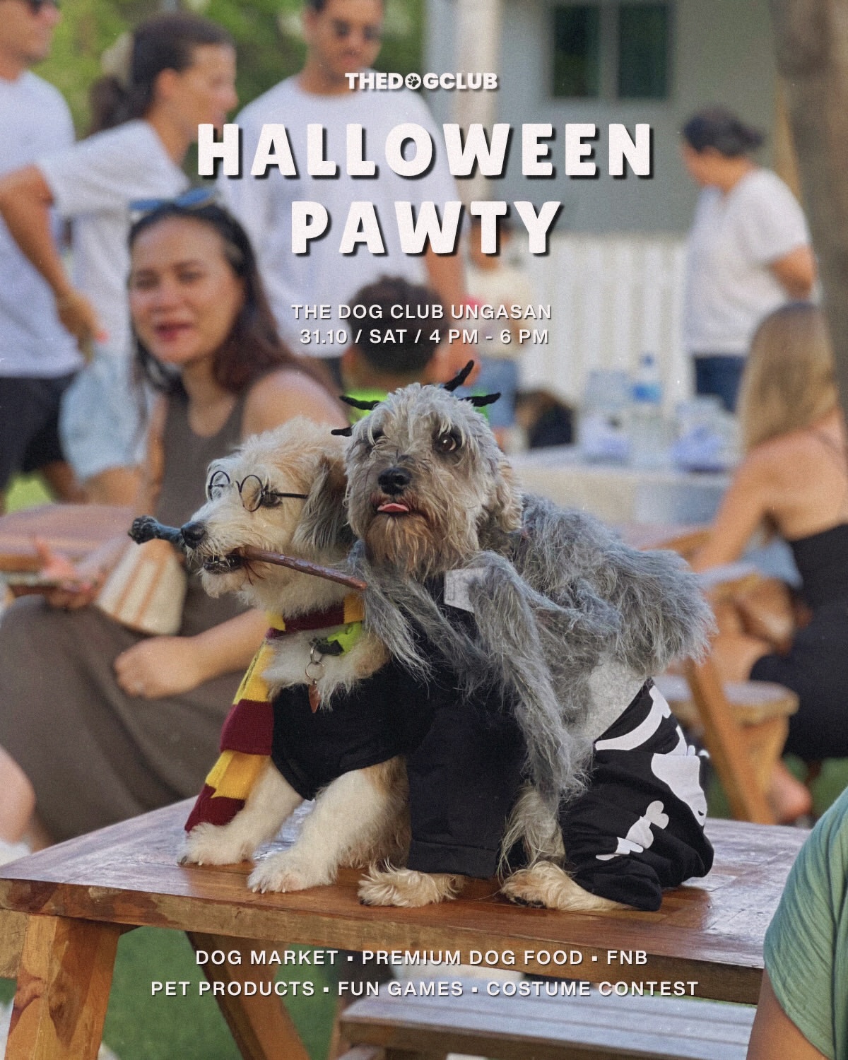 Halloween Pawty