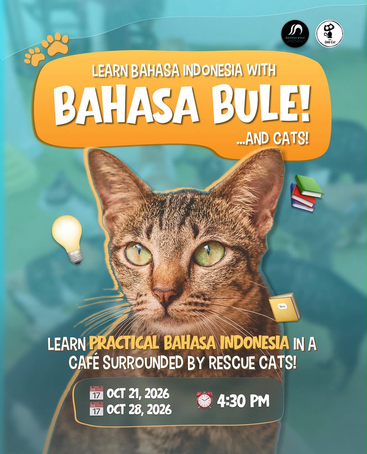LEARN BAHASA INDONESIA WITH CATS